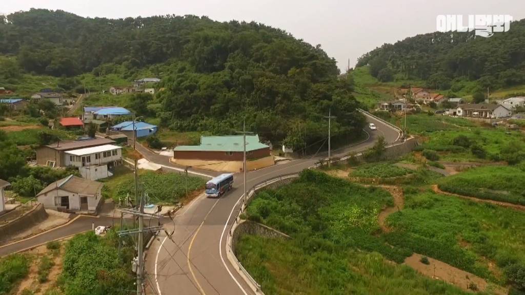 혼자 버스타고 지인 만나러 가는 강아지 상연이.jpg | 인스티즈