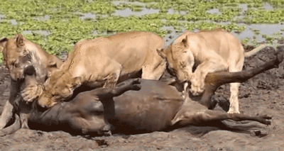 남자들이 보면 놀라서 팔짝 뛰는 짤 | 인스티즈