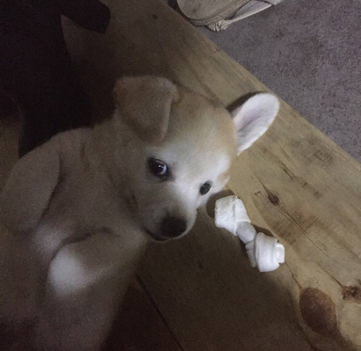 재업로드된 짱절미 사진 모음집.jpg(사진29장) | 인스티즈