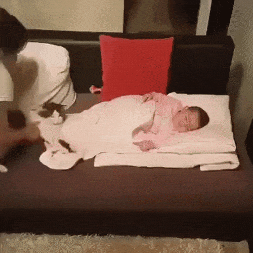 아기와 고양이 | 인스티즈