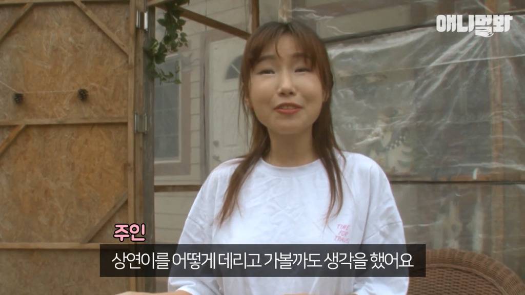 혼자 버스타고 지인 만나러 가는 강아지 상연이.jpg | 인스티즈