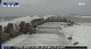 19호 태풍 솔릭이 강타한 제주도 상황 | 인스티즈