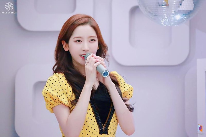 데이터주의) 네모 광고 찍은 헬로비너스 | 인스티즈