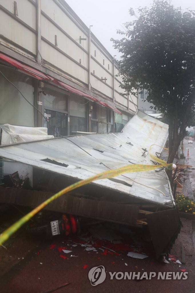 솔릭이 강타한 제주도 상황.jpg | 인스티즈