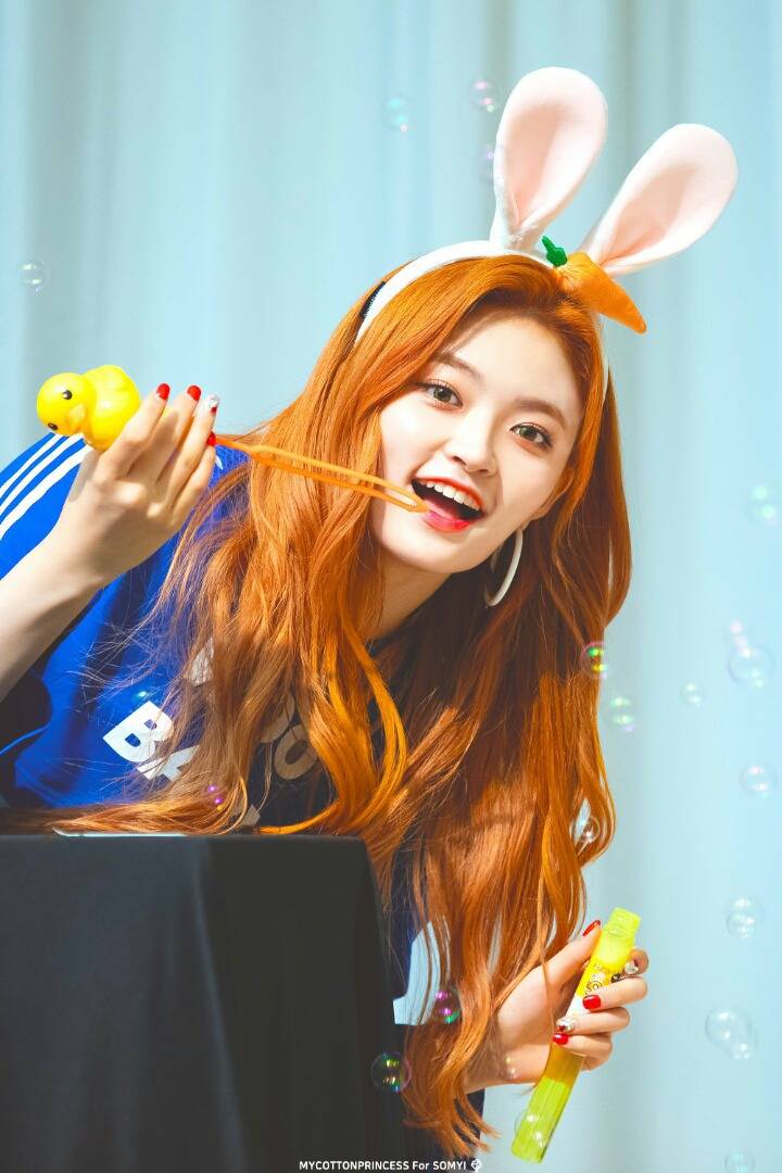 다이아 정산 기원 1일차 | 인스티즈