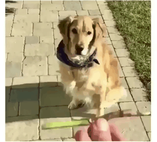 이거 안되는 애들은 백날 해도 안됨.gif | 인스티즈