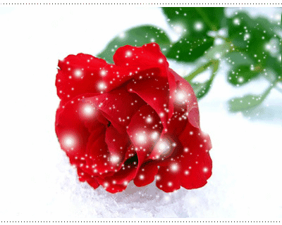 자연사진 보시고 힐링하세요 | 인스티즈