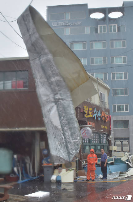 태풍 솔릭이 닥친 제주도의 모습.jpg | 인스티즈