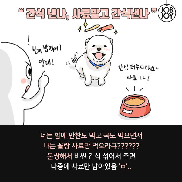 키워본 사람만 아는 댕댕이 견주 공감 | 인스티즈