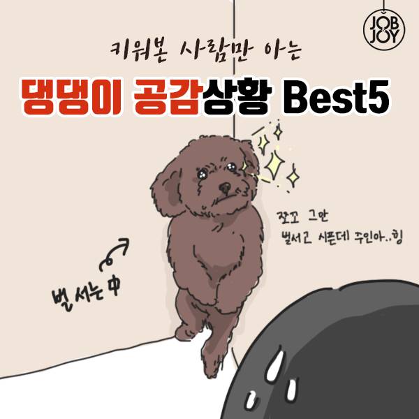 키워본 사람만 아는 댕댕이 견주 공감 | 인스티즈