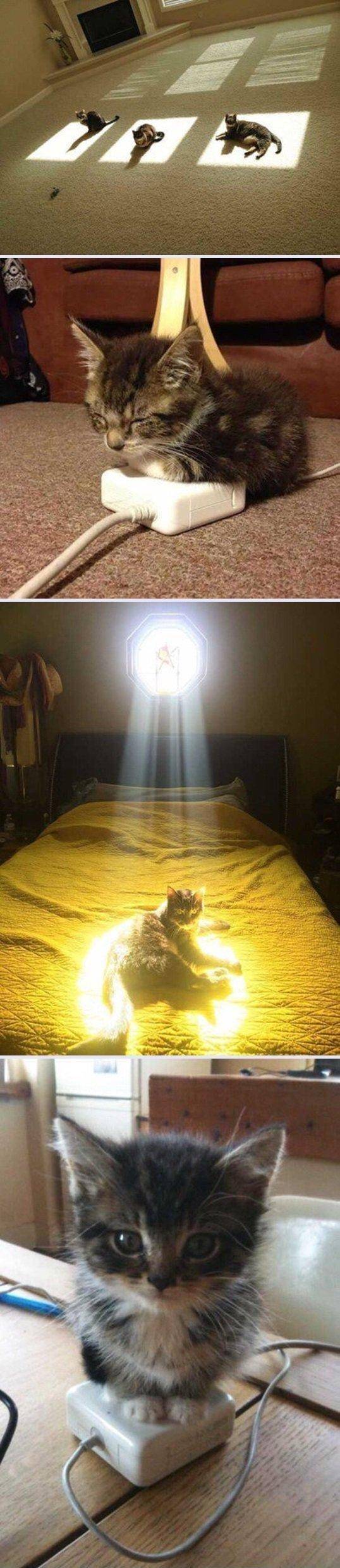 따뜻한 곳이 좋아 | 인스티즈