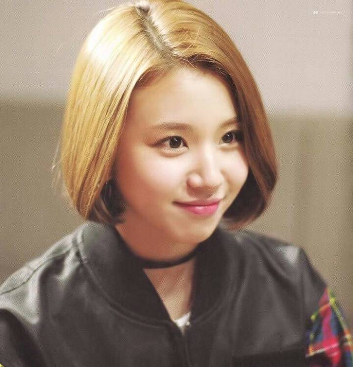 트와이스 두부 꾹꾹이 아기맹수 | 인스티즈