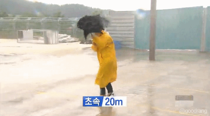 초속 10-30m 실험.gif | 인스티즈