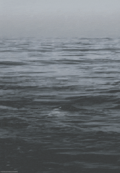 상어&고래 | 인스티즈