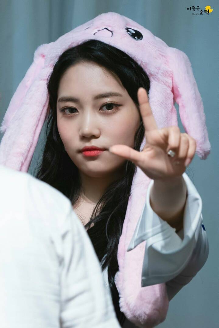 다이아 정산 기원 1일차 | 인스티즈