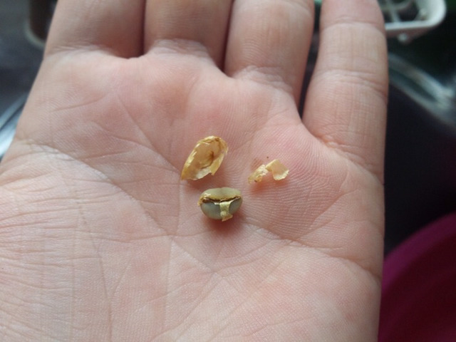 한 루리웹 유저가 커피마시는 방법 | 인스티즈