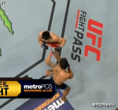 정찬성 지리는 어퍼컷 | 인스티즈