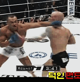 MMA 경량급 강자들의 명경기 | 인스티즈