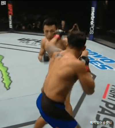 정찬성 지리는 어퍼컷 | 인스티즈