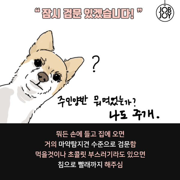 키워본 사람만 아는 댕댕이 견주 공감 | 인스티즈