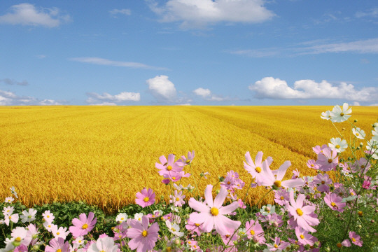 자연사진 보시고 힐링하세요 | 인스티즈