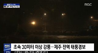 19호 태풍 솔릭이 강타한 제주도 상황 | 인스티즈