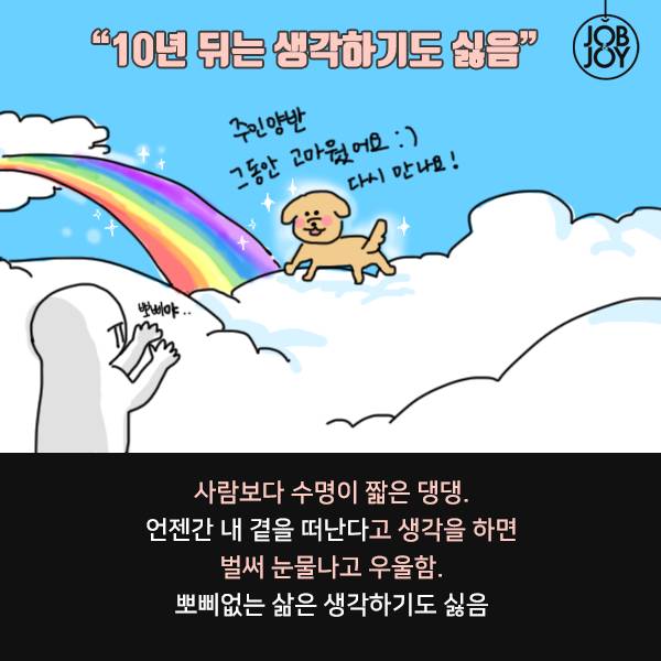 키워본 사람만 아는 댕댕이 견주 공감 | 인스티즈