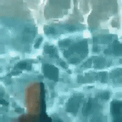 아찔한 수영장 | 인스티즈