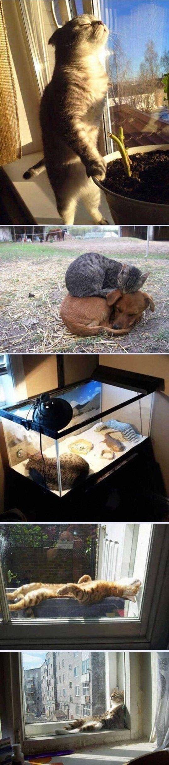 따뜻한 곳이 좋아 | 인스티즈