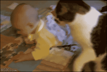 때리려다가 들켰다.gif | 인스티즈