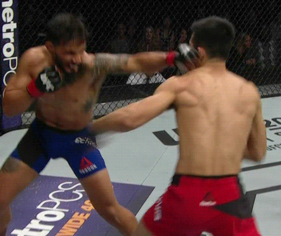 정찬성 지리는 어퍼컷 | 인스티즈