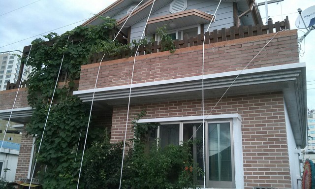 거제도의 흔한 태풍 대처법 | 인스티즈