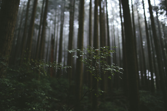  나는 생이라는 말을 얼마나 사랑했던가 | 인스티즈