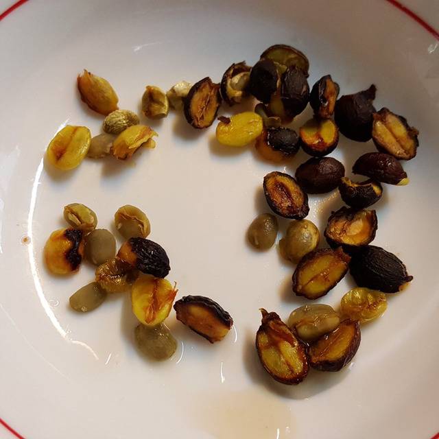 한 루리웹 유저가 커피마시는 방법 | 인스티즈