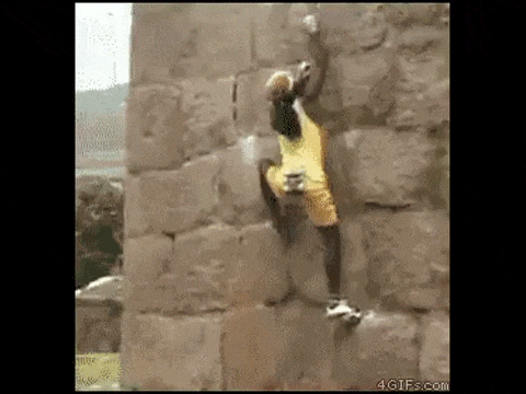 벽타기.gif | 인스티즈