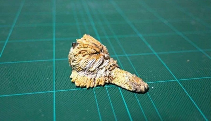 고양이를 보고 만든 피규어.jpg | 인스티즈