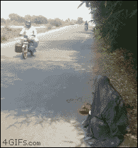 인도의 일상.gif | 인스티즈