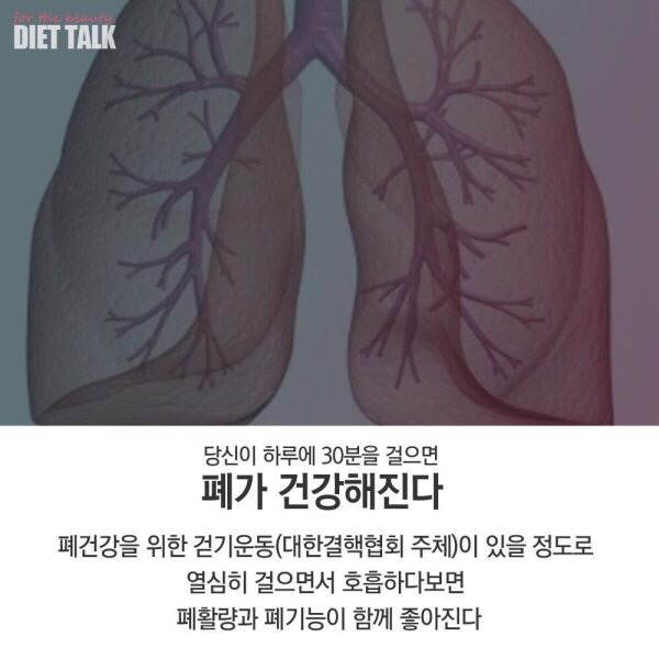 하루 30분 걷기로 당신에게 일어날 10가지 변화 | 인스티즈