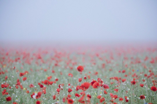  되감을 수 없다 | 인스티즈