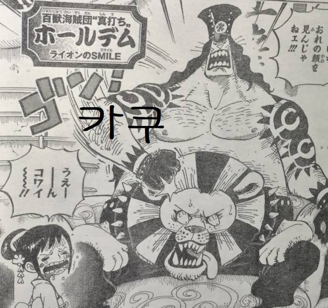 [원피스] 카이도 해적단 환상 그러나 현실은... | 인스티즈