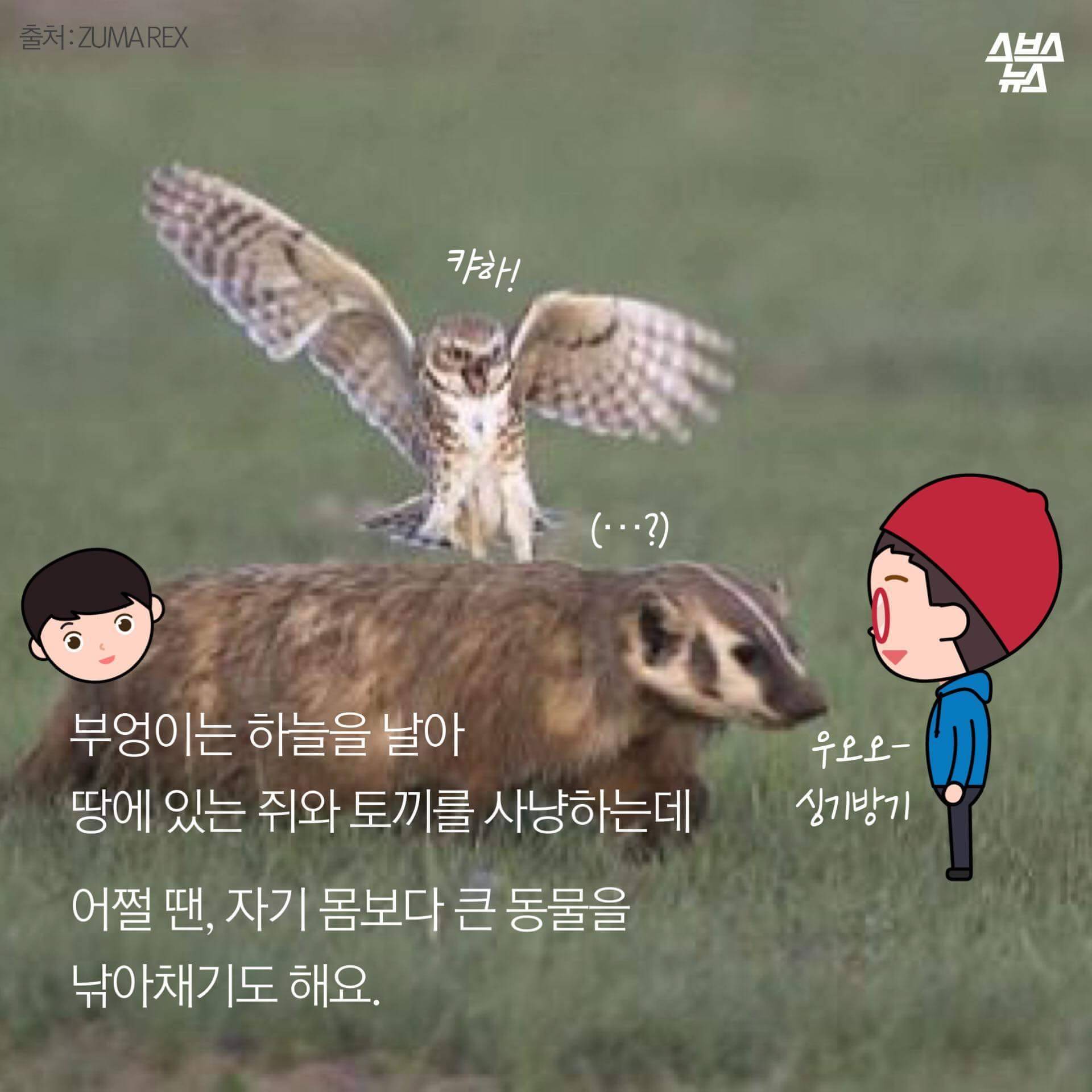 숏하지 않다고 말해부엉 | 인스티즈