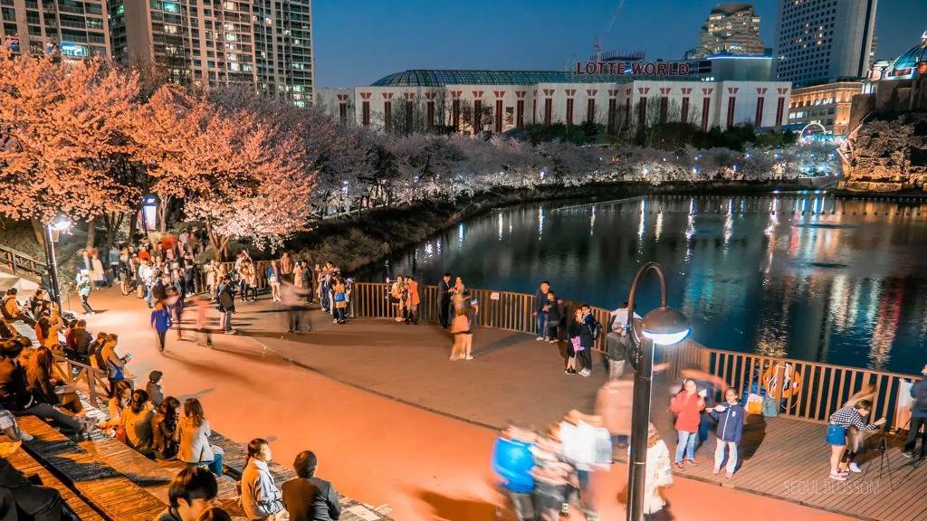 잔잔한 서울의 밤.jpg | 인스티즈