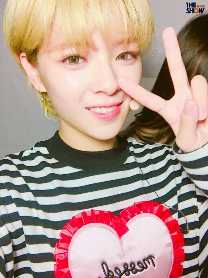 더쇼-트와이스 | 인스티즈