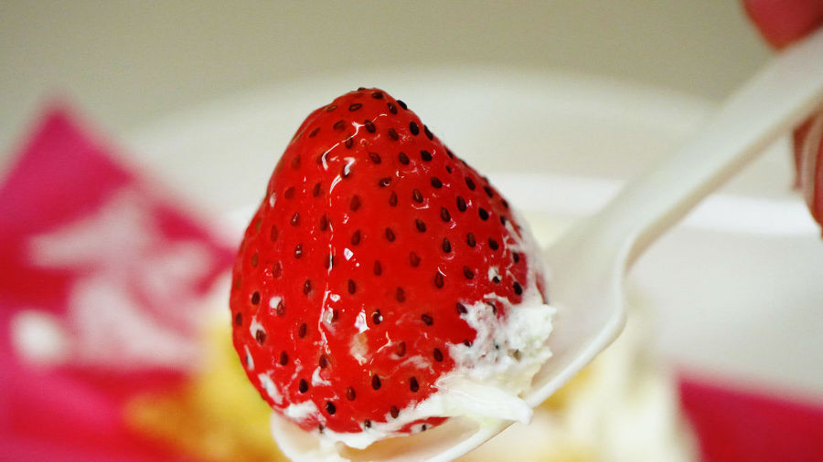 레스토랑 차리고싶어서 안달난것 같은 열도의 편의점들 .jpg | 인스티즈