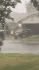 유쾌한 외국인들 | 인스티즈