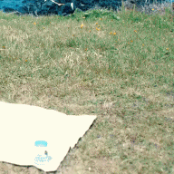 레쉬가드입은 트와이스.gif | 인스티즈