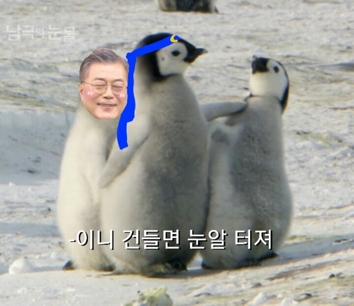 문재인 지지자들이 문재인에게 손을 떼면 벌어질 일+유의사항 추가 공기업도 일부 특수한 곳 빼고 가능 | 인스티즈