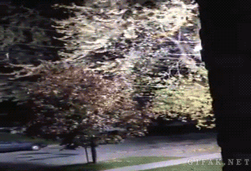 라이트닝 볼트 | 인스티즈