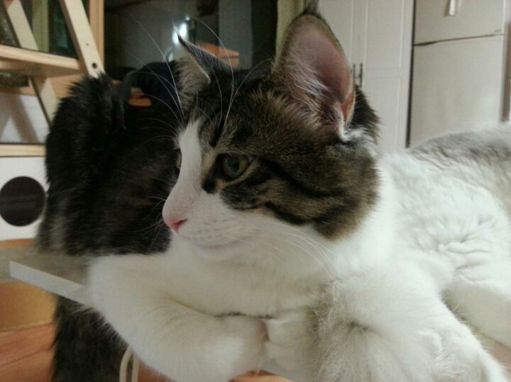 실수로 보일러 켜놓고 갔는데.jpg | 인스티즈