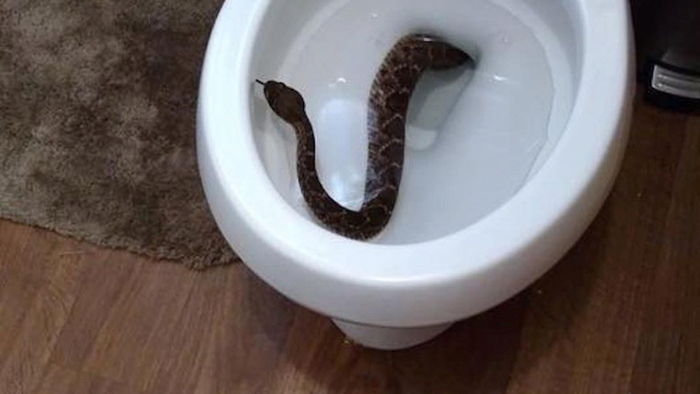 보자마자 식겁하는 뉴스.jpg | 인스티즈